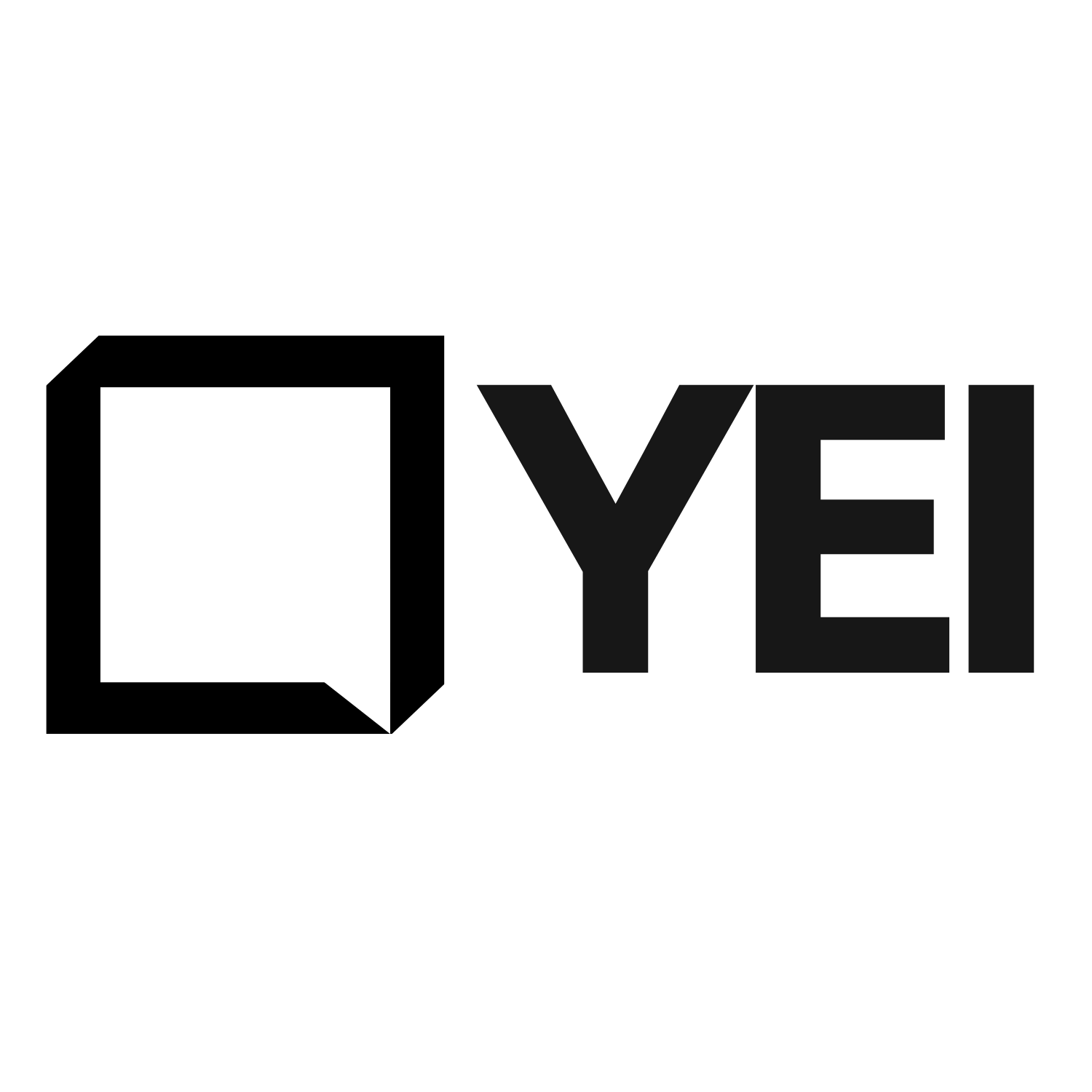 The Young Economist Initiative